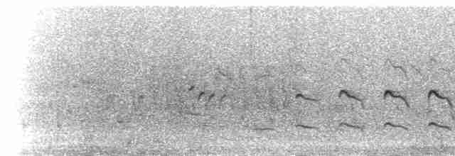 Яструб кенійський (підвид rufiventris) - ML275535
