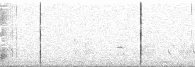 Rotsteiß-Spottdrossel - ML27561921