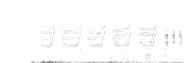 Weißbinden-Spottdrossel - ML275642271