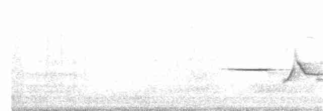 Дрізд-короткодзьоб плямистоволий - ML275647211