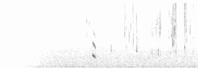 Короткоклювый бекасовидный веретенник - ML275650911