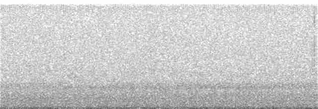Australian Owlet-nightjar - ML275659271