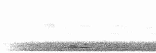 Gray Crowned-Crane - ML275663
