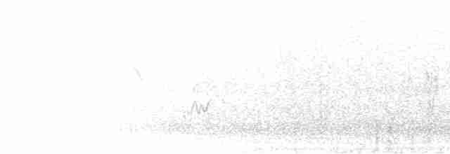 Canario del Drakensberg - ML275710