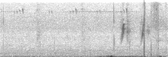 סנונית אתיופית - ML275735541