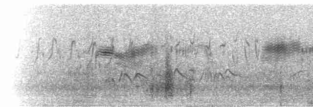 rorýs tmavoprsý [skupina barbatus] - ML275752