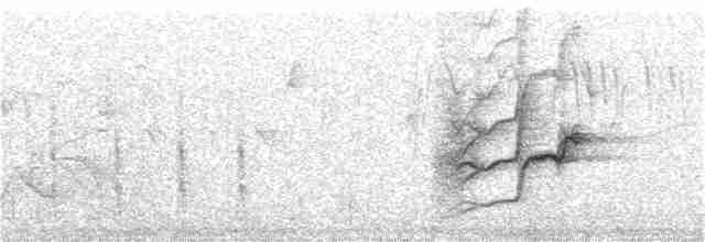 Spot-winged Rosefinch - ML275792441