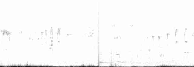 エンビアマツバメ - ML275795871