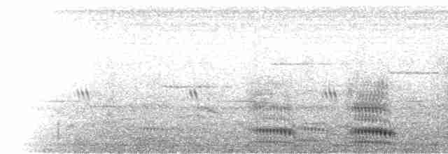 Corbeau à nuque blanche - ML275797