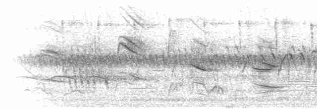 Lesser Striped Swallow - ML275939