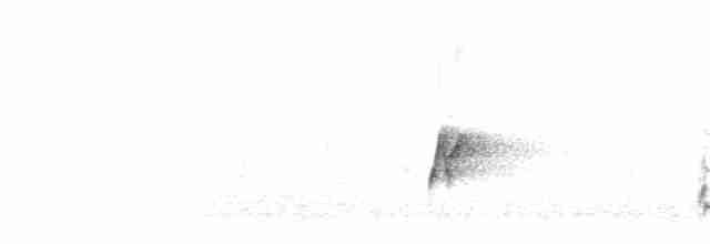 Cossyphe à gorge blanche - ML275960