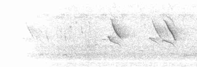 Lesser Striped Swallow - ML275975