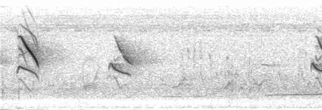 Lesser Striped Swallow - ML275976