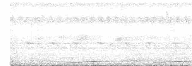 Сова-голконіг далекосхідна - ML276035261