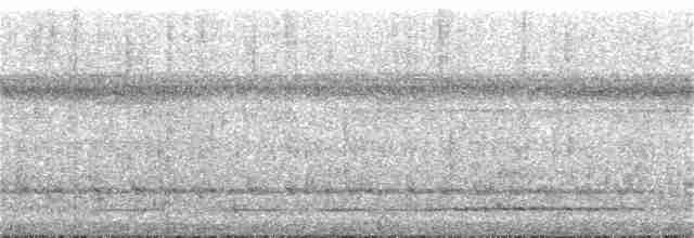 Great Tinamou - ML276071511