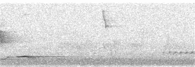 Black-tailed Oriole - ML276078541