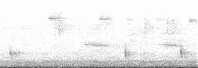 Дрізд-короткодзьоб плямистоволий - ML276093041