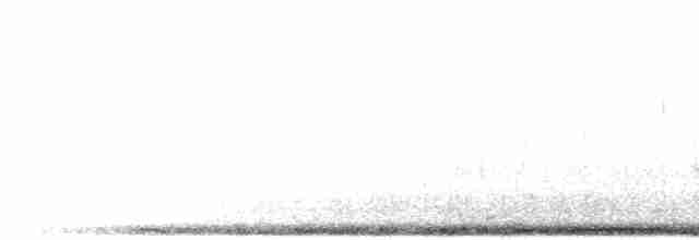 holub etiopský - ML276125