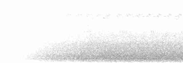 Black-billed Barbet - ML276190