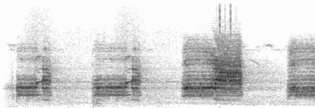 dunkjevlefrankolin - ML276195