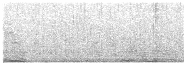 Курочка плямистобока - ML276197301