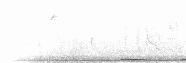 Namaqua Dove - ML276204