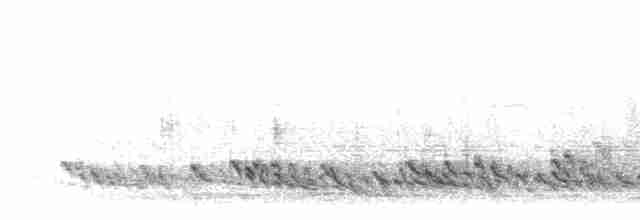 Perlenbartvogel - ML276216