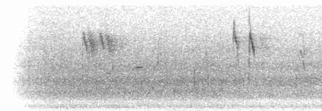 Gray Wagtail - ML276227