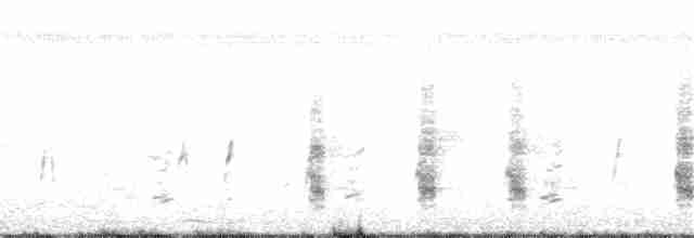 perlička kropenatá - ML276286771