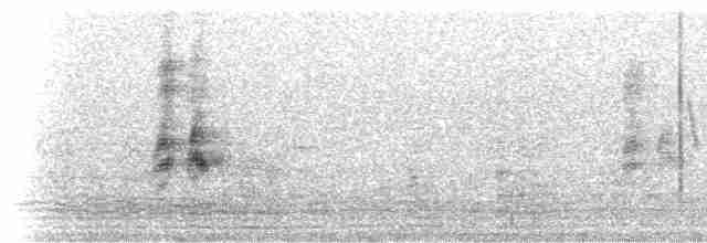 Африканская мухоловка - ML276309