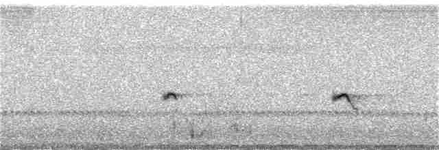 Little Ringed Plover - ML276310231