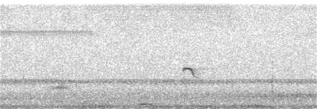 Little Ringed Plover - ML276310281