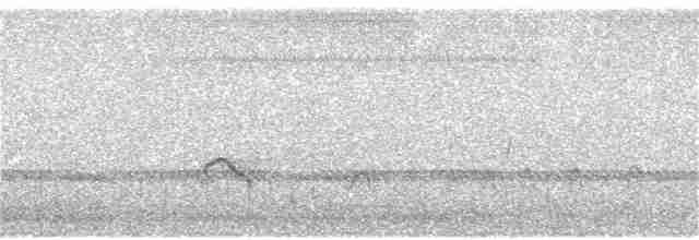 Little Ringed Plover - ML276310301