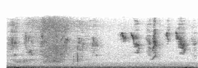 Long-tailed Shrike - ML276320201