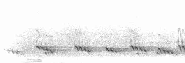 Perlenbartvogel - ML276344