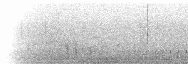 Kurzschleppen-Nachtschwalbe - ML276345
