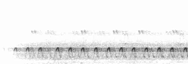 Slender-tailed Nightjar - ML276346
