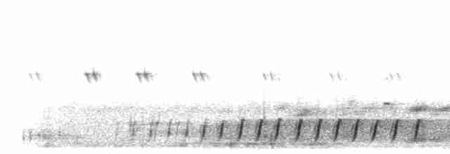 Slender-tailed Nightjar - ML276349
