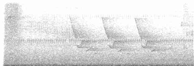 Поплітник каролінський - ML276349201