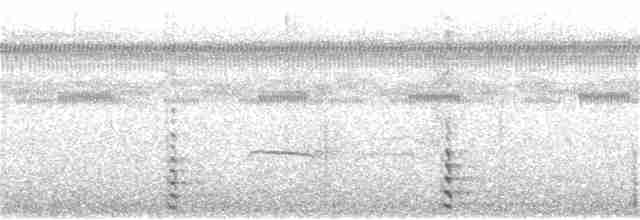 Common Gallinule - ML276408351