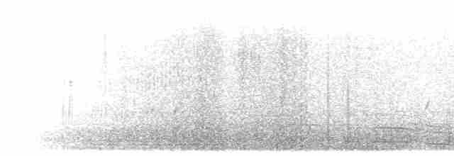 Braunnackenfrankolin (castaneicollis) - ML276484