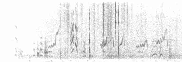 Braunnackenfrankolin (castaneicollis) - ML276582