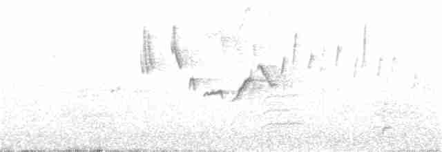 Graumantel-Brillenvogel - ML276636491
