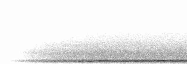 hrdlička bělokřídlá - ML276669