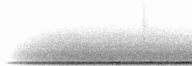 Серебристокрылая горлица - ML276670