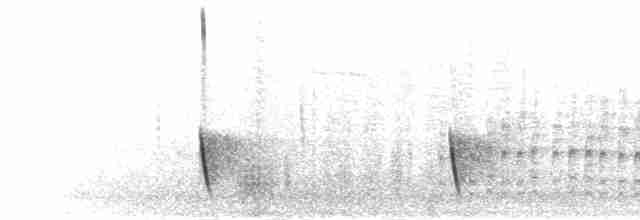 Gray Wren-Warbler - ML276677