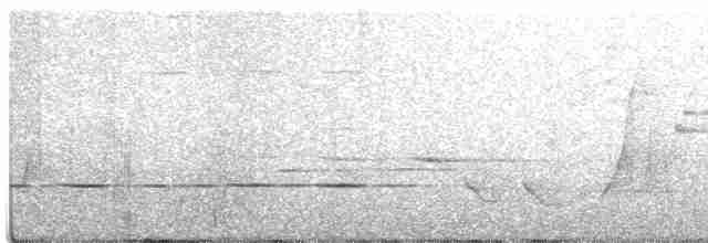 Spotted Quail-thrush - ML276677891