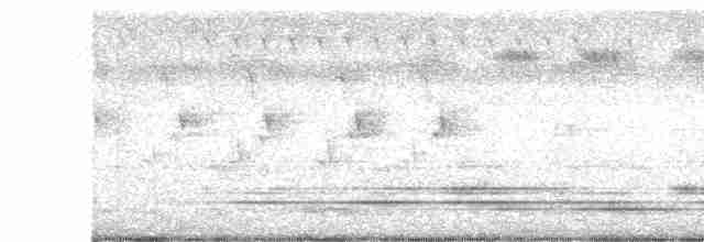 Blyth's Reed Warbler - ML276724141