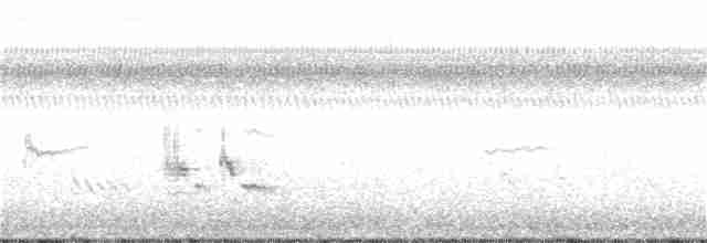 Loggerhead Shrike - ML276770601