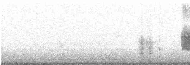 Plectrophane des neiges - ML276871211